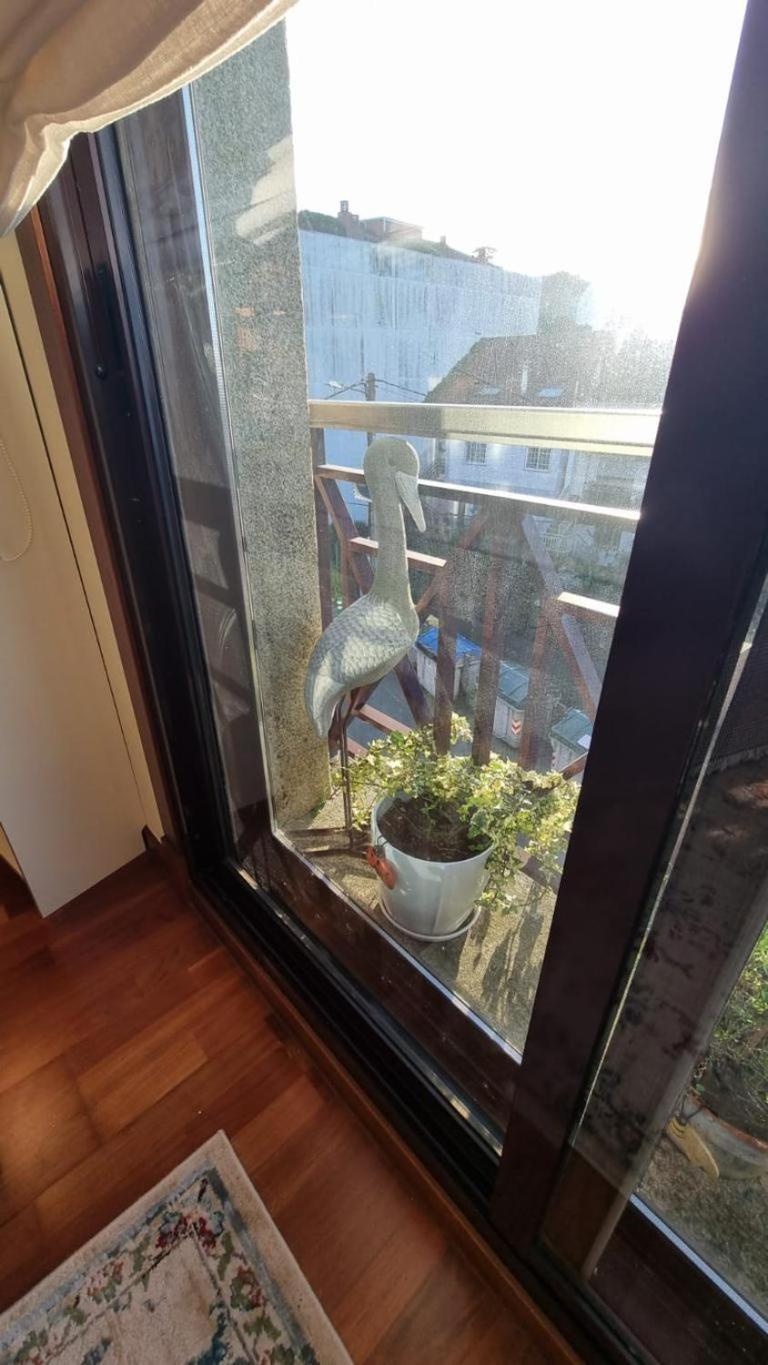 Apartamento 1 Dormitorio 4 Personas En El Grove Эль-Грове Экстерьер фото